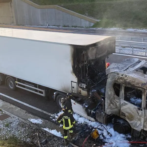 Camion prende fuoco in Veneto: morti i 92mila pulcini che trasportava