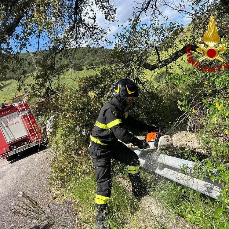 Provincia di Nuoro colpita dal maltempo: interventi dei Vigili del Fuoco