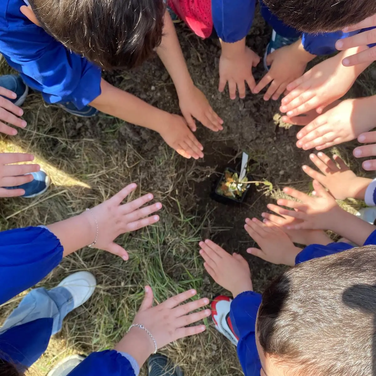 \"Un albero per il futuro\": a Villamar autorità e piccoli studenti uniti per l'ambiente
