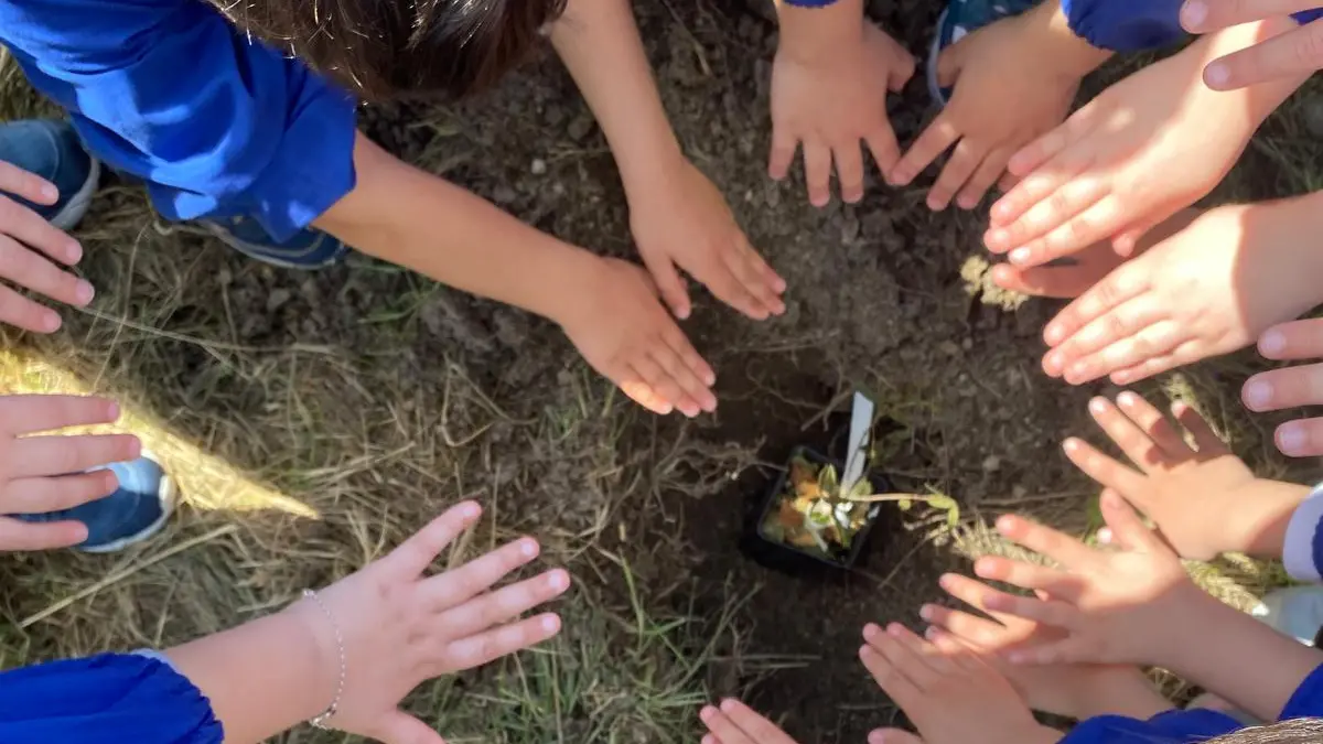\"Un albero per il futuro\": a Villamar autorità e piccoli studenti uniti per l'ambiente