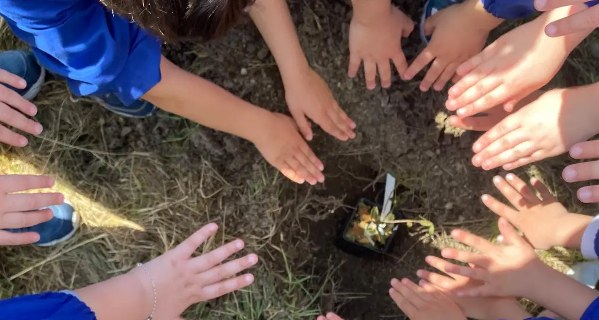 \"Un albero per il futuro\": a Villamar autorità e piccoli studenti uniti per l'ambiente