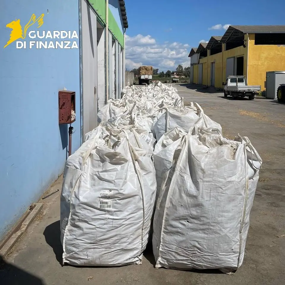Maxi sequestro di marijuana a Sassari: scoperte oltre 3,7 tonnellate in azienda agricola