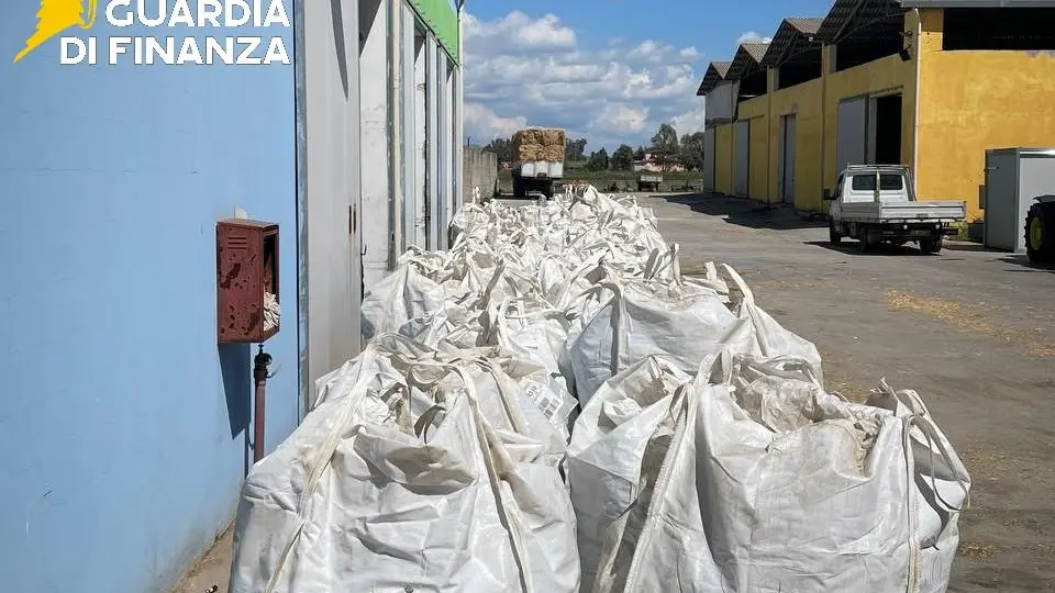 Maxi sequestro di marijuana a Sassari: scoperte oltre 3,7 tonnellate in azienda agricola