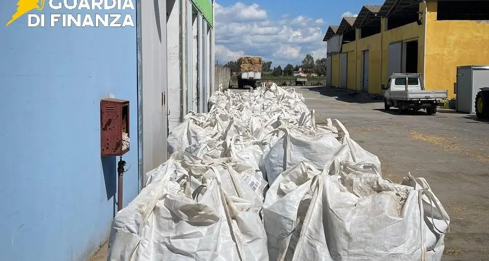 Maxi sequestro di marijuana a Sassari: scoperte oltre 3,7 tonnellate in azienda agricola