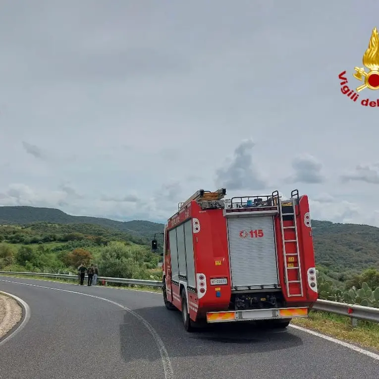 Motociclista esce fuori strada e precipita in una scarpata sulla Statale 388