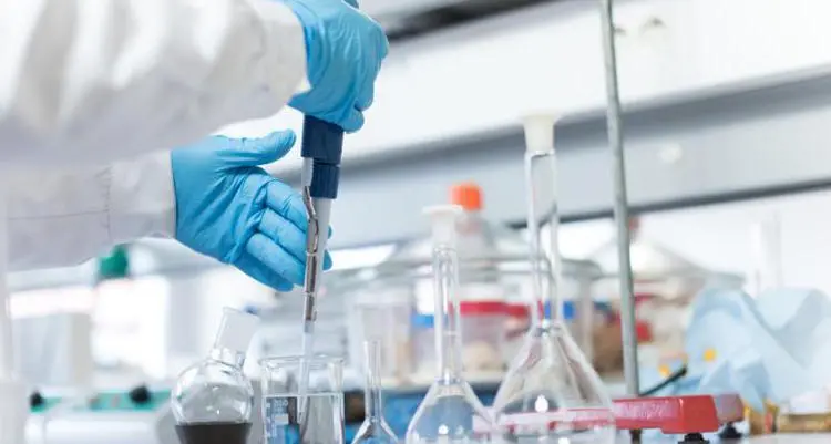 Ematologia bolognese capofila in Italia con 240 pazienti trattati con Car-T