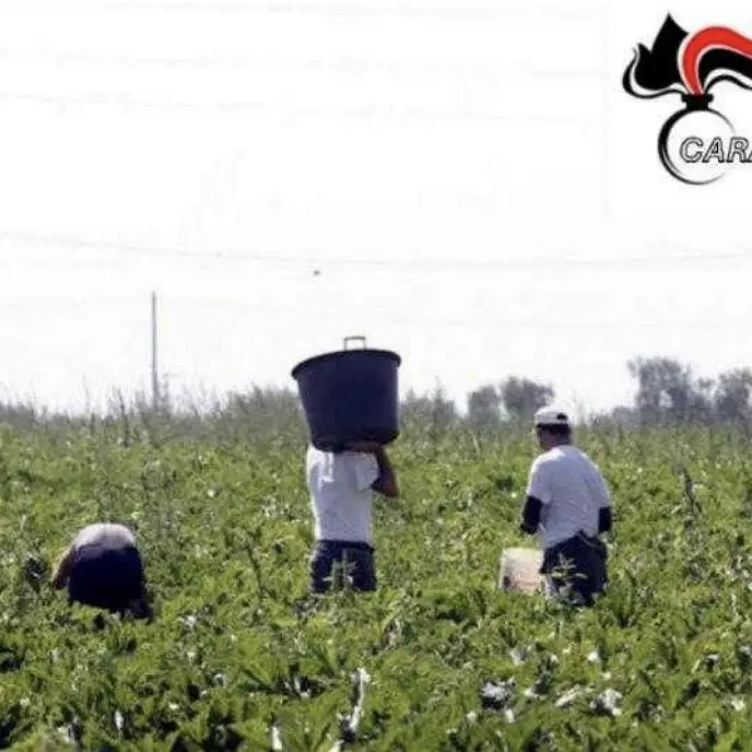 Favoreggiamento immigrazione clandestina: scattano maxi multe nel Sassarese
