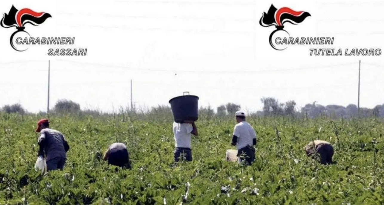 Favoreggiamento immigrazione clandestina: scattano maxi multe nel Sassarese