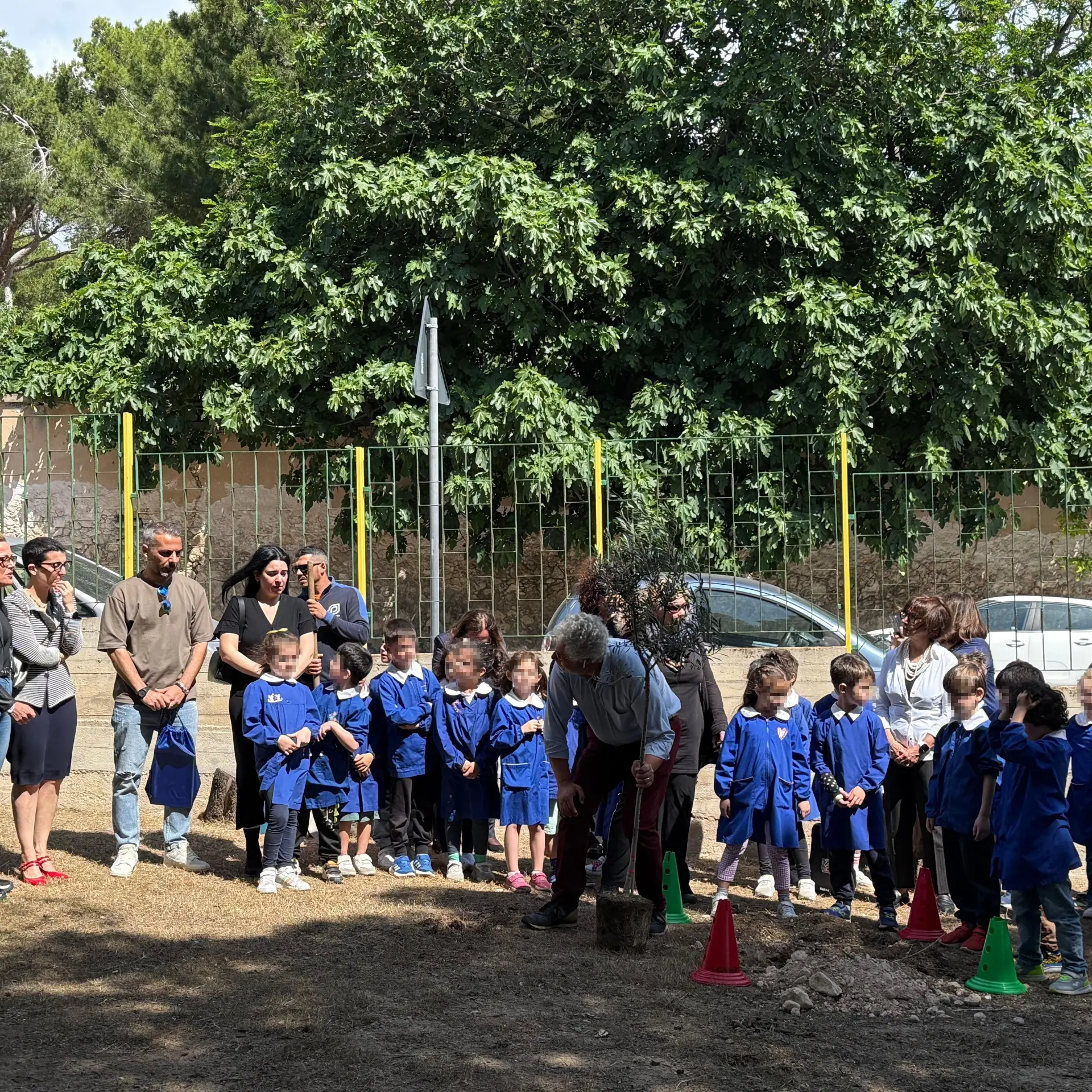 Un ulivo per Leonardo: la scuola primaria di Cagliari ricorda il piccolo alunno