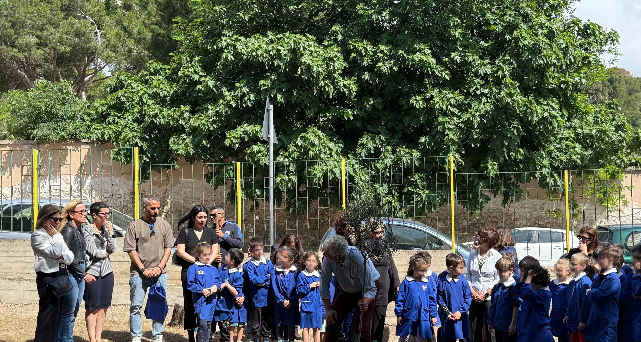 Un ulivo per Leonardo: la scuola primaria di Cagliari ricorda il piccolo alunno