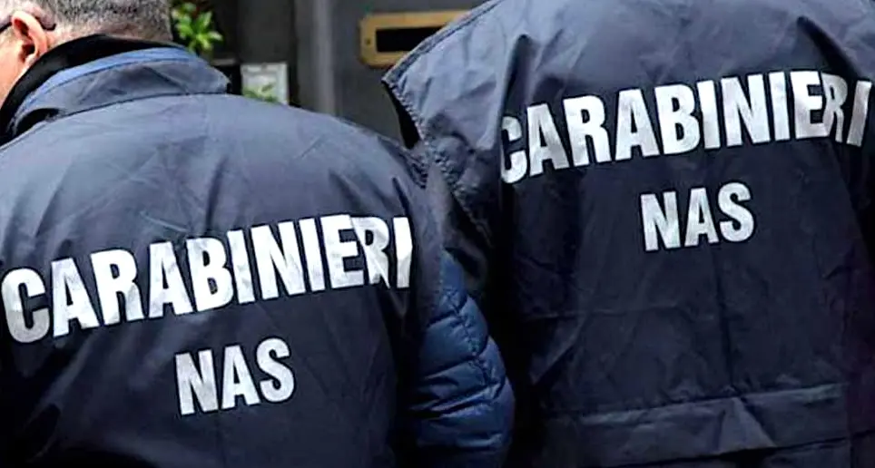 Cagliari. Blatte in cucina: chiuso ristorante asiatico dal NAS