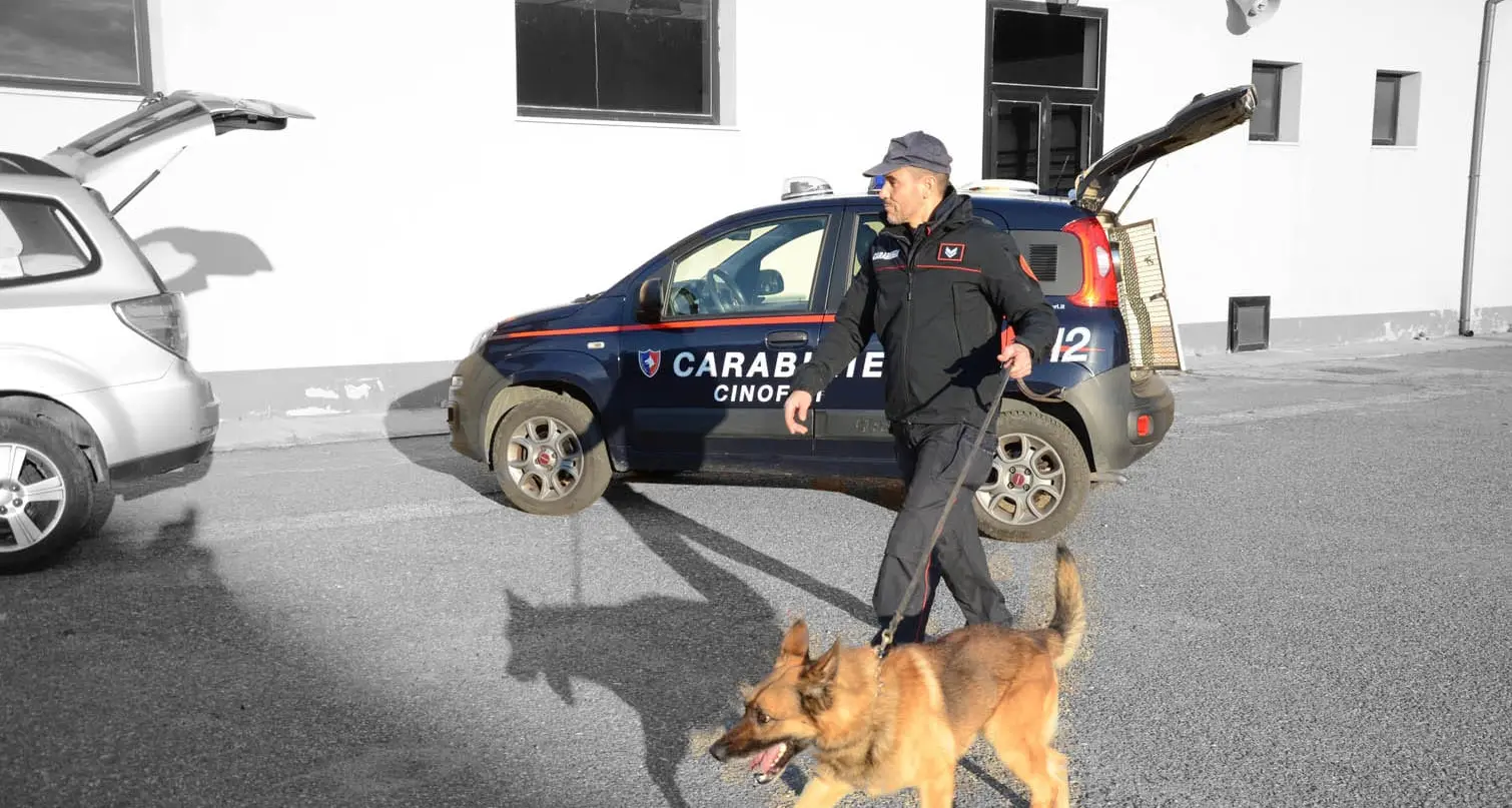 Villaputzu: in casa oltre cento grammi di marijuana: arrestato un giovane