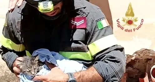 Gattino intrappolato nella miniera di Monteponi, salvato dai Vigili del Fuoco a Iglesias