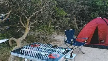 Operazioni anti-campeggio abusivo: 13 violazioni scoperte in Gallura