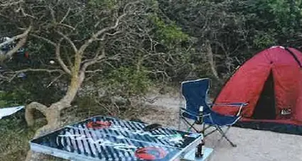Operazioni anti-campeggio abusivo: 13 violazioni scoperte in Gallura