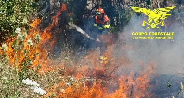 Undici incendi in Sardegna: Canadair in azione a Dualchi