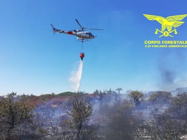 Tre incendi in poche ore: il Corpo forestale della Sardegna in azione