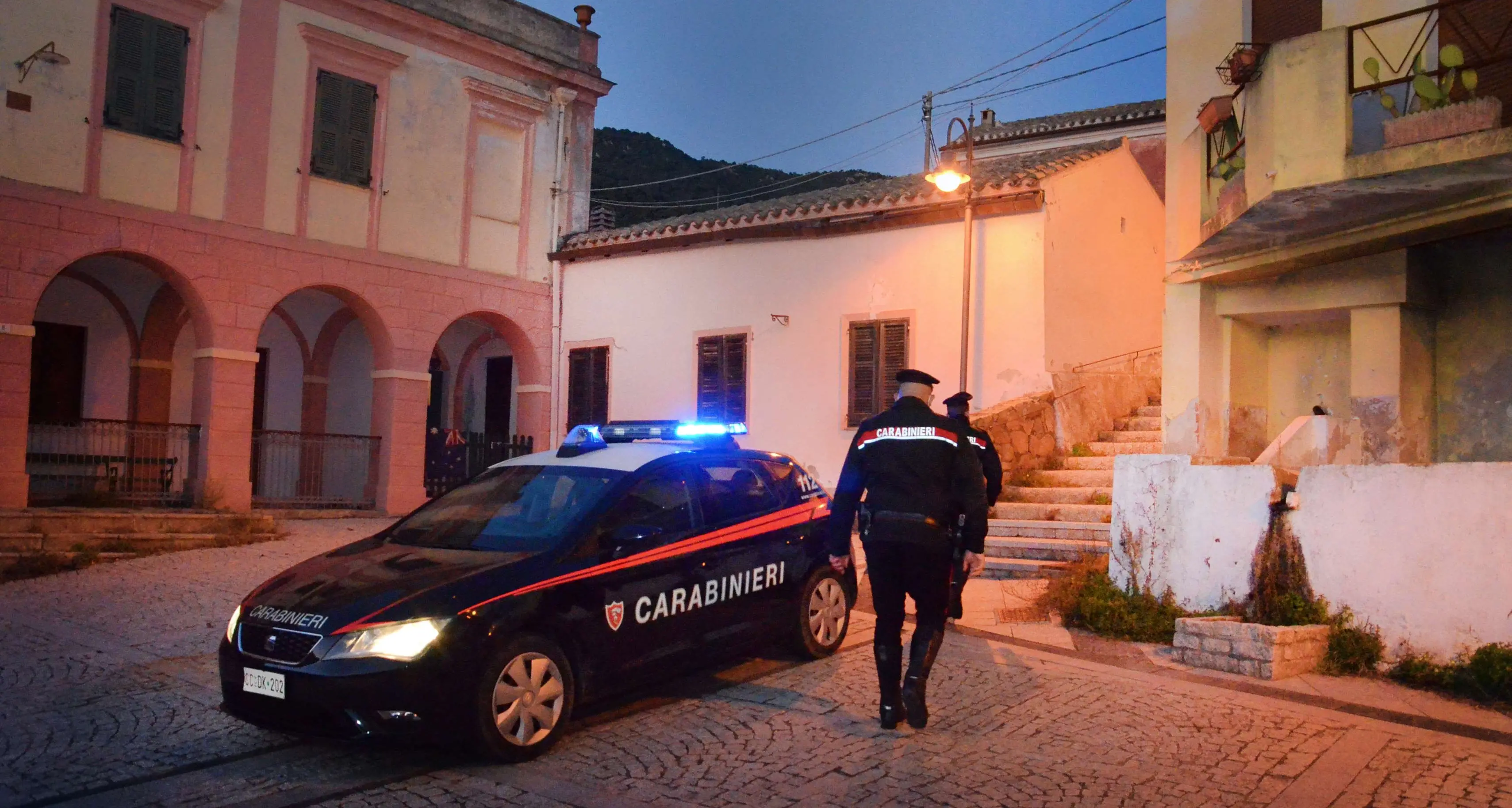 Tentato furto di latte e agnelli in azienda agricola a Ortacesus: dipendente denunciato