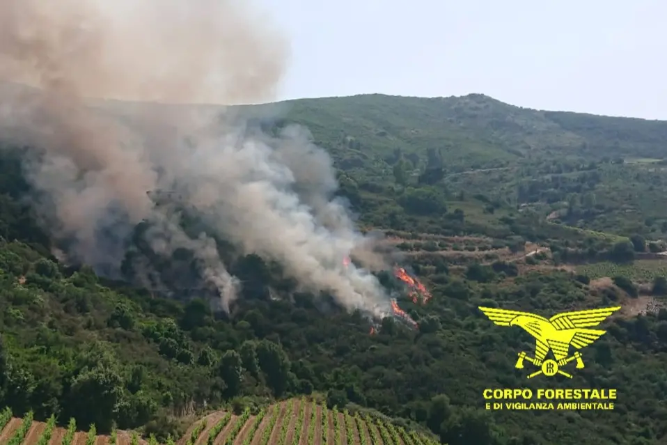 Sardegna flagellata da 25 incendi: interventi aerei in quattro località