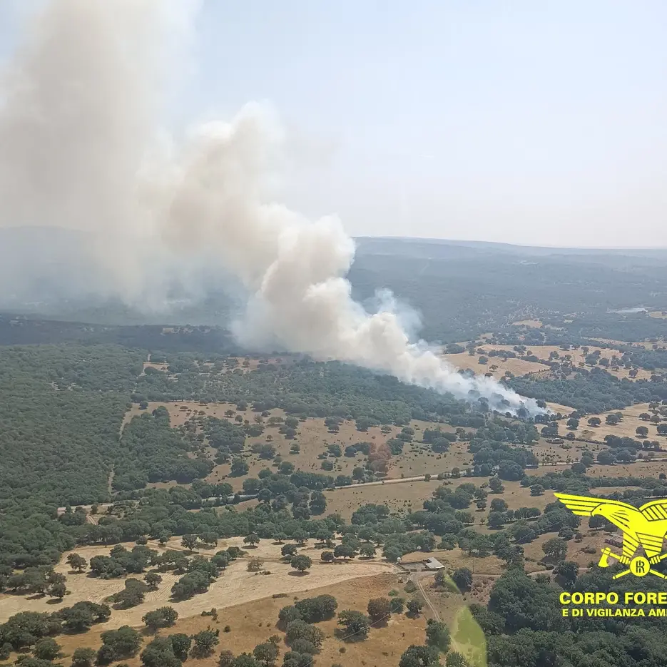 Venti incendi in Sardegna: elicotteri a Gairo, Serramanna, Burgos e Arbus