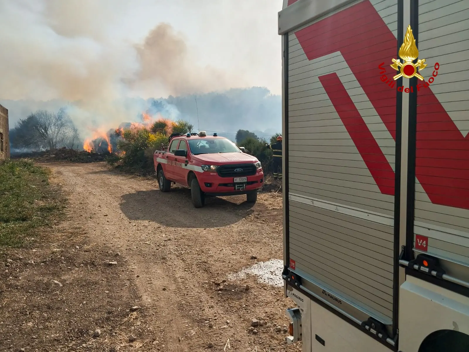 Sardegna in fiamme: 40 incendi registrati oggi, domenica 15 giugno