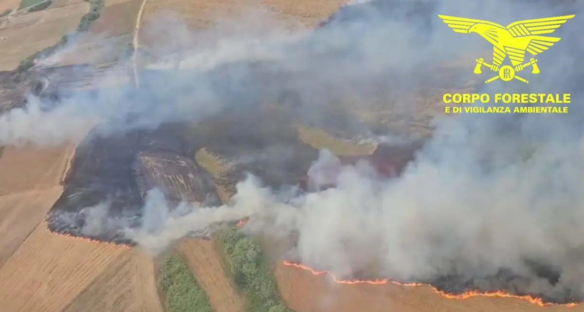 Venti incendi in Sardegna: tre richiedono l’intervento dei mezzi aerei