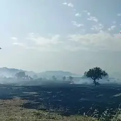 Domato dopo ore l’incendio a Bonorva: le immagini della devastazione