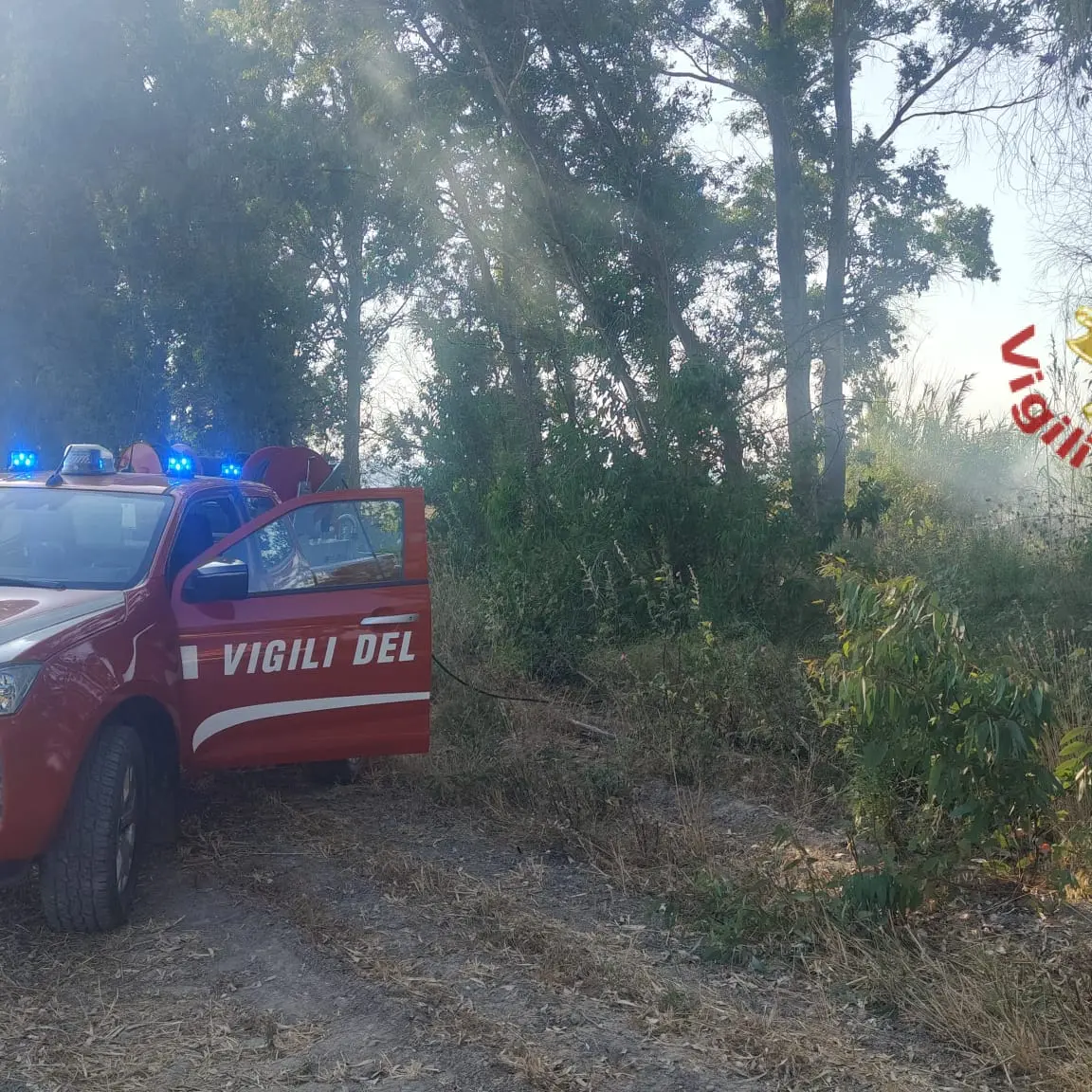 Vasto incendio a Villasor: Vigili del Fuoco in azione contro le fiamme | IL VIDEO