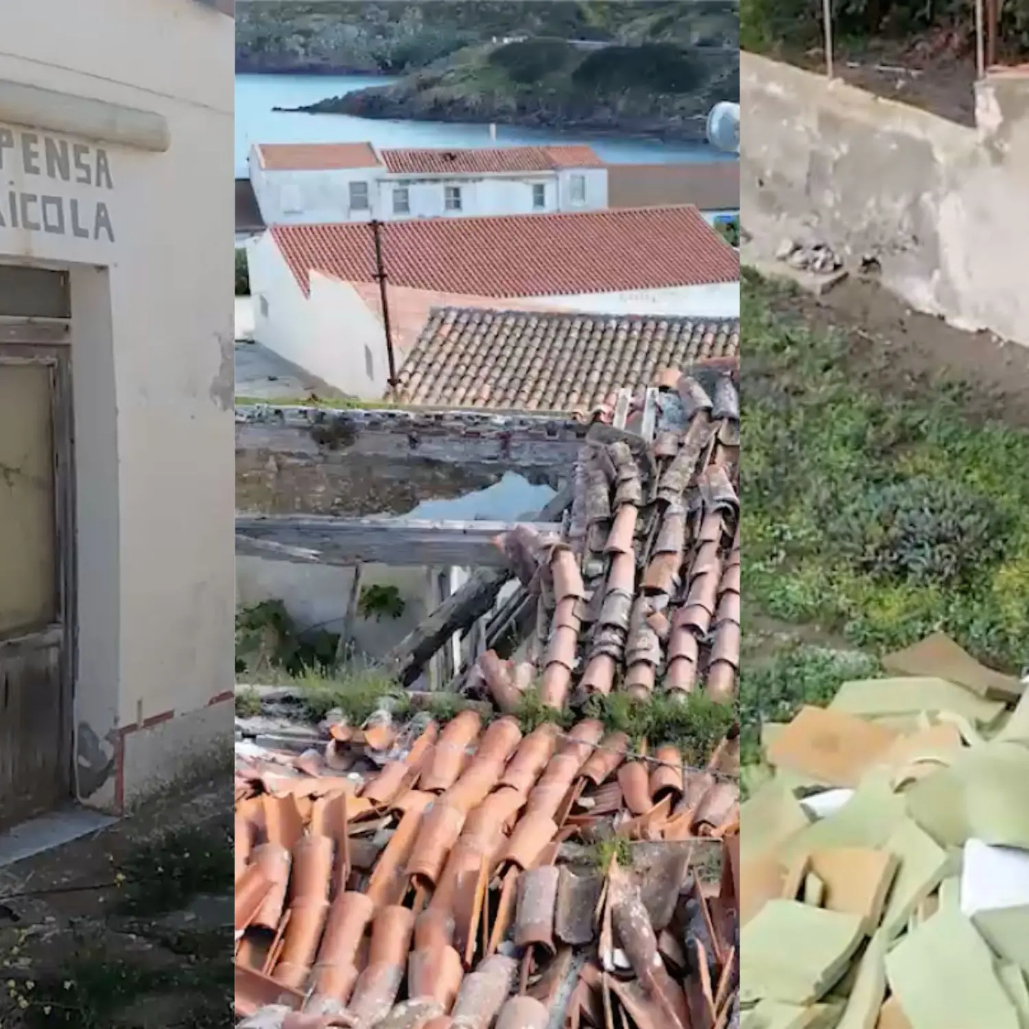 Asinara, l’isola dimenticata: gli operatori turistici rompono il silenzio e denunciano il degrado