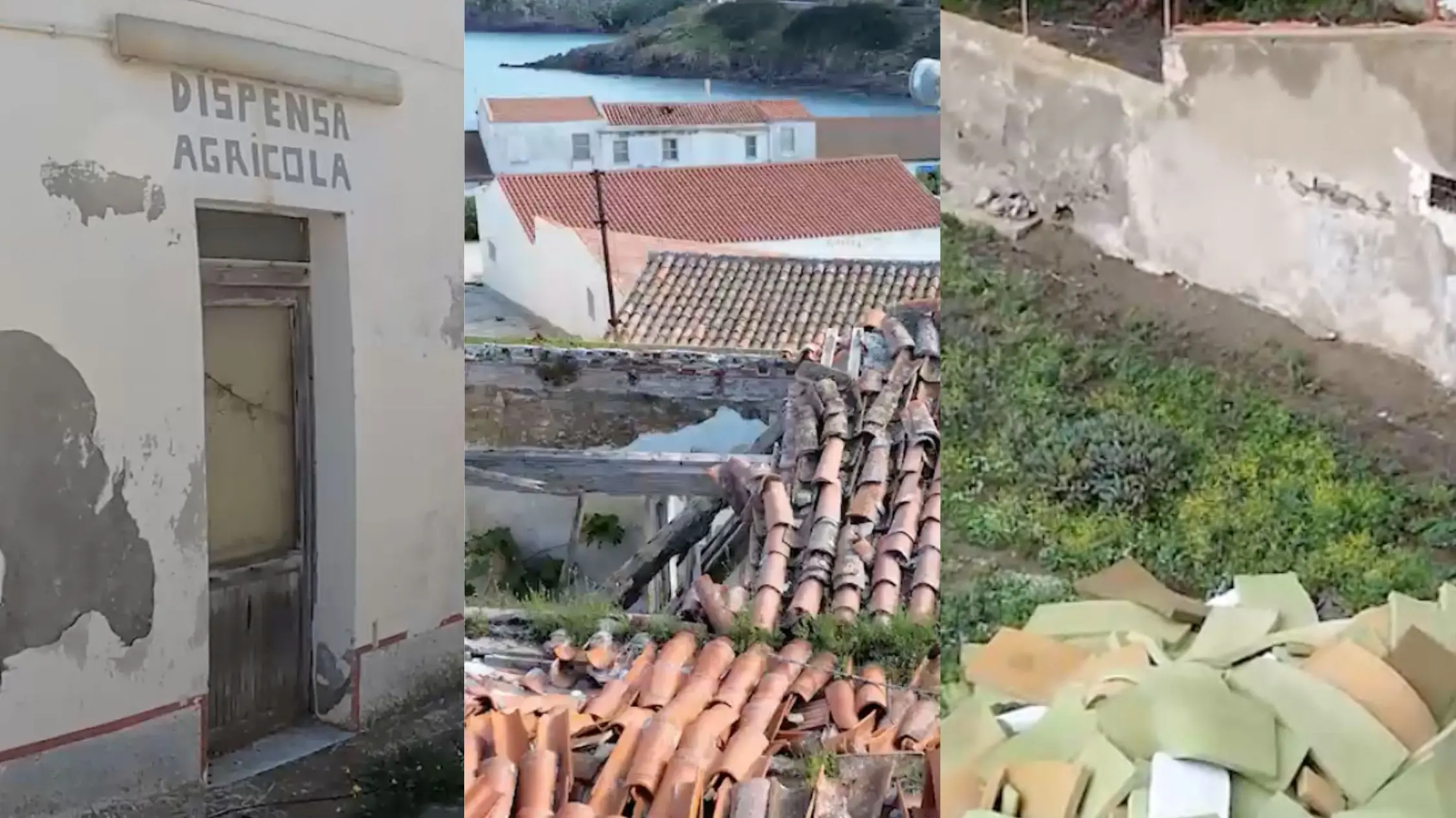 Asinara, l’isola dimenticata: gli operatori turistici rompono il silenzio e denunciano il degrado