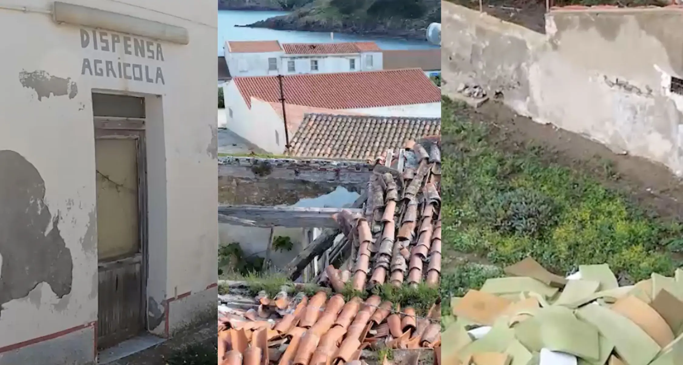 Asinara, l’isola dimenticata: gli operatori turistici rompono il silenzio e denunciano il degrado