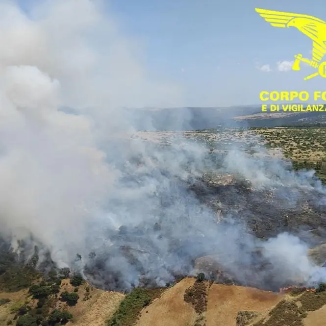 Due vasti incendi in Sardegna: elicotteri e Canadair in azione
