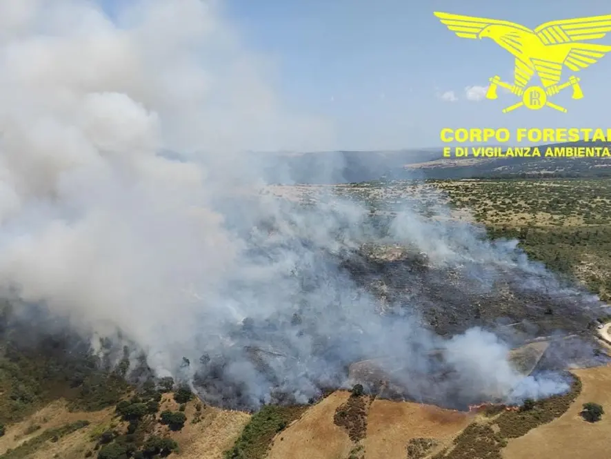 Due vasti incendi in Sardegna: elicotteri e Canadair in azione