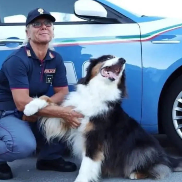 Addio al cane poliziotto Night Spirit, l'eroe del Ponte Morandi si è spento a 14 anni