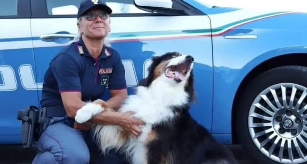 Addio al cane poliziotto Night Spirit, l'eroe del Ponte Morandi si è spento a 14 anni