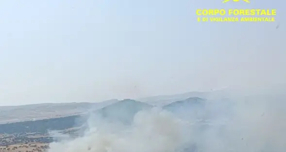 Sardegna in fiamme: 14 incendi in un solo giorno