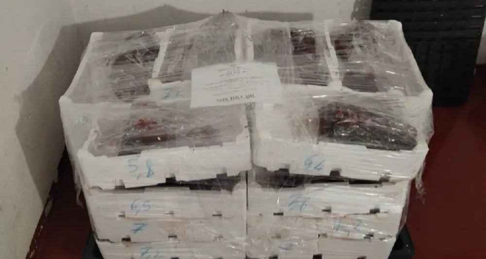Sequestrati oltre 200 chili di prodotti ittici a Cagliari