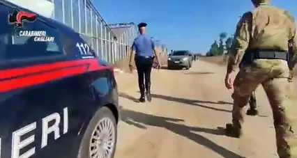 Maxi piantagione di marijuana in serre comunali abbandonate: 51enne arrestato a Sestu