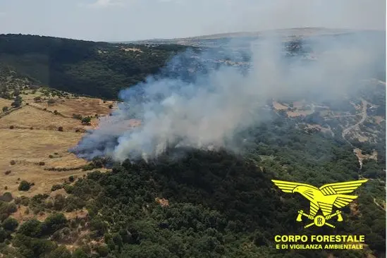 <p>Incendio a Nurri</p>\\n
