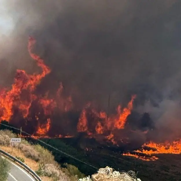 Incendio a Ozieri: in volo elicottero, Superpuma e Canadair