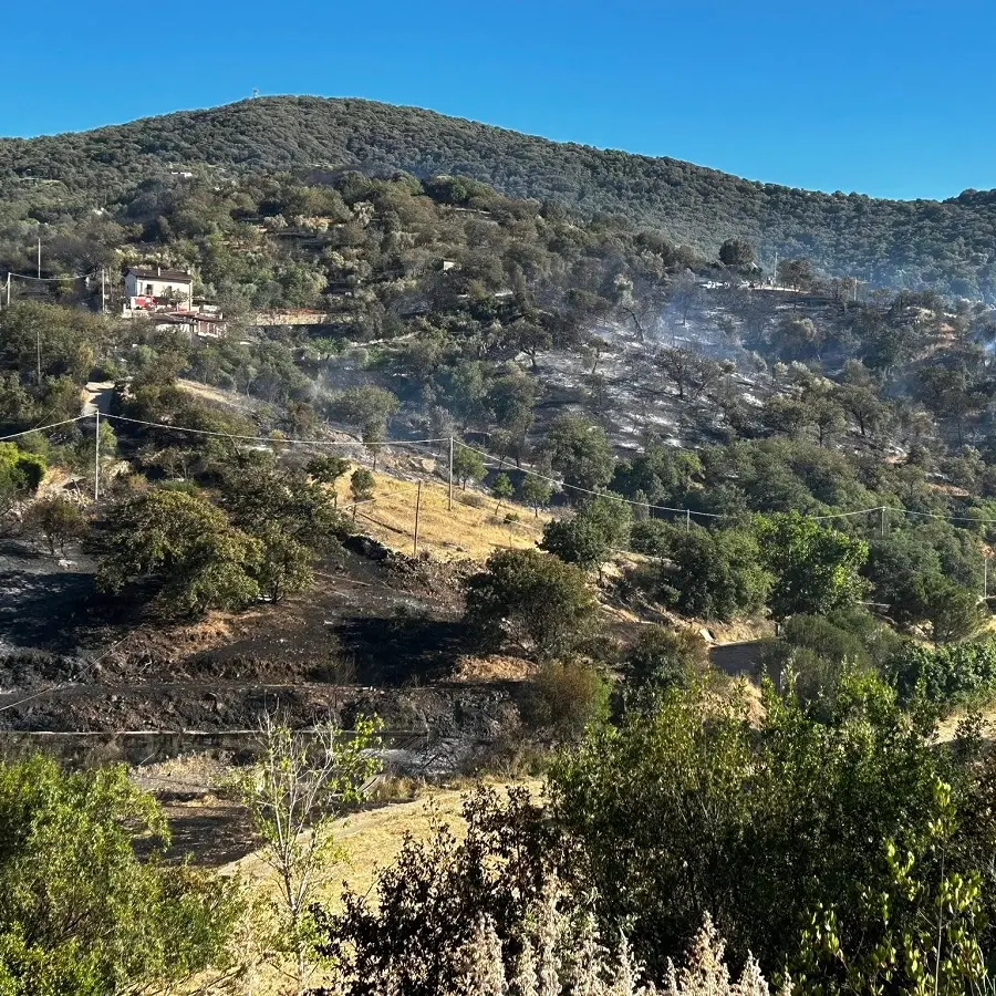 Incendio a Ozieri sotto controllo, danni a case e auto ma nessun ferito