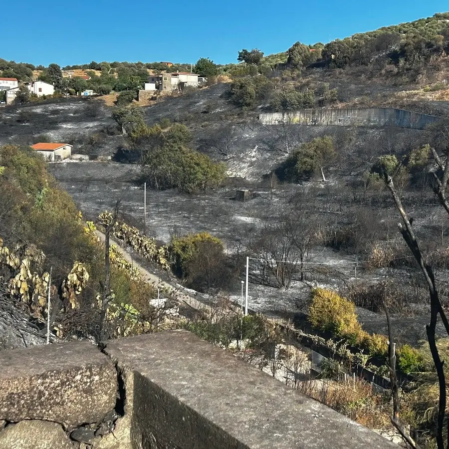 Le foto del disastro di Ozieri. Il sindaco: \"Non mi illudo che possano toccare l'animo del piromane\"