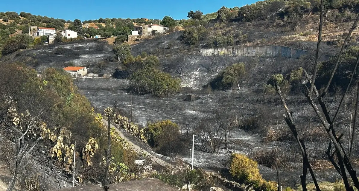 Le foto del disastro di Ozieri. Il sindaco: \"Non mi illudo che possano toccare l'animo del piromane\"
