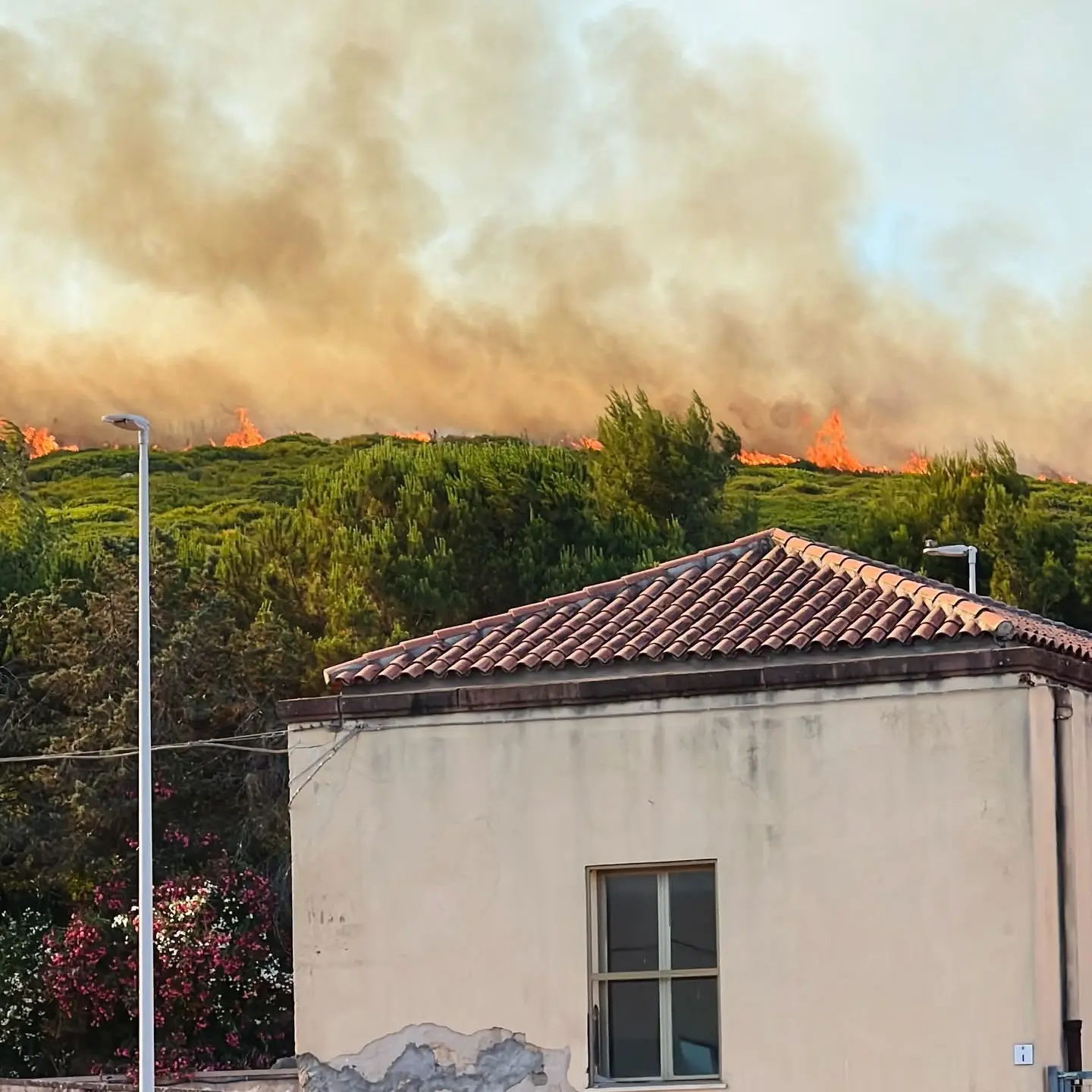 Incendio Alghero, Sorgia: \"Inaccettabile che si ripeta lo stesso copione di disastri annunciati\"
