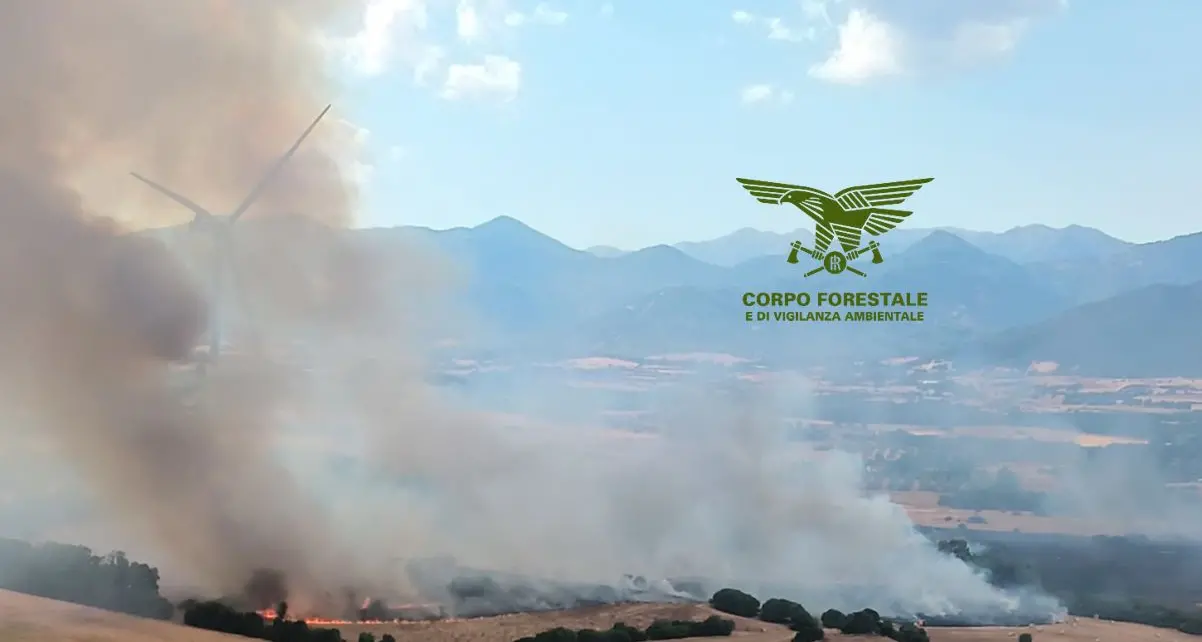 La Sardegna ancora in balia delle fiamme: 14 incendi in un solo giorno