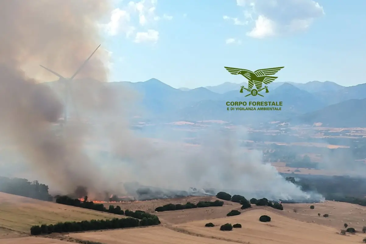 <p>Incendio di Musei loc. Is Peddis</p>\\n