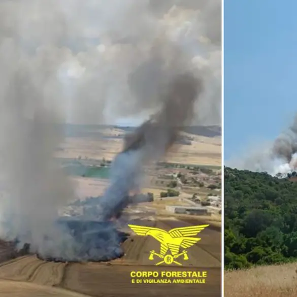 Quindici incendi in Sardegna, oggi in volo elicotteri e Canadair