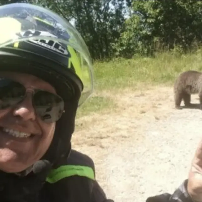 Motociclista ucciso da un'orsa in Romania: l'animale è stato abbattuto