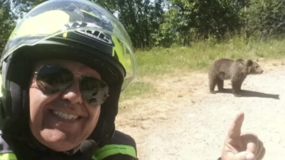 Motociclista ucciso da un'orsa in Romania: l'animale è stato abbattuto