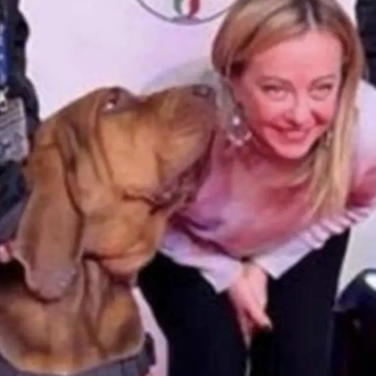 Bruno, il cane eroe ucciso da bocconcini con chiodi. Era stato premiato da Giorgia Meloni
